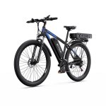 Elektrofahrrad DUOTTS C29-K 750 W Doppelbatterie