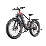 Velo Electrique Duotts F26 Double Moteur 48V 20Ah IPX5
