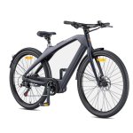 Vélo Électrique ENGWE N1 Pro Moteur 250 W Batterie 36V 10Ah Gris