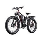 Velo electrique urbain DUOTTS S26 Double moteur 750W