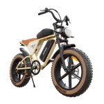 Bicicletta elettrica Jansno X70 750W 40 km/h 120 km 48V 37Ah 20" Fuoristrada