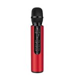 Microphone karaoké Dam Electronics à condensateur, Bluetooth 5.0, haut-parleur