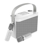 Kit karaoké Dam Electronics Bluetooth 10 W avec 2 microphones