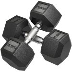Kurzhantel Welltin Hexagonal Gusseisen 12,5 kg Paar