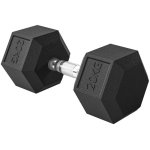 Halter Welltin Hexagonal Ferro Fundido 20 kg Antirrolamento