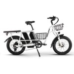 E-Bike Philodo Traveller 2 Batterien 48V 17,5Ah 7 Gänge