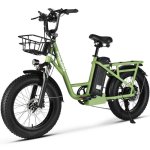 Bicicleta eletrica Philodo PHILODO T1 48V 20Ah 7 velocidades