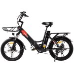 Kaisda K201 E-Bike 250 W 36 V All-Terrain 20 Zoll
