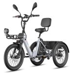 Triciclo Eléctrico Fafrees F20 Mate II 250W 48V 25Ah 20"