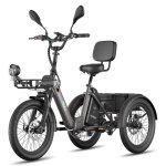 Triciclo Eléctrico Fafrees F20 Mate II 250 W 48 V 25 Ah 75-100 km 20"