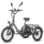 Triciclo Eléctrico Fafrees F20 Mate Motor 500 W Batería 48 V 21 Ah Neumáticos 20"