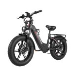 Elektrofahrrad Nathaniel SYR08 Doppelantrieb 48V 20Ah Hydraulikbremsen 20"