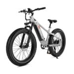 Bicicletta Elettrica Freedare JB1010-Saiga 250W Bafang