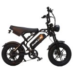 Bicicleta Elétrica Baolujie F2 Dobrável 250W 48V 16x4.0 40-50 km