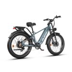 Bicicletta Elettrica Wildeway Soared Pro Grigio