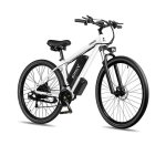 Elektro-Mountainbike Rincc RN50 Fat 29 Reifen