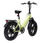 Bicicletta elettrica Bodywel F20 Pro pieghevole 20 pollici verde