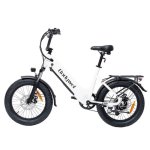 Bicicleta Eléctrica Plegable Bodywel F20 250 W 48 V 13,5 Ah 20"