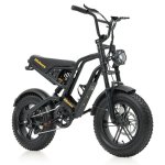 Bicicletta da Montagna Elettrica Hidoes HD-B6mini 48V 10,4Ah Sospensione Completa