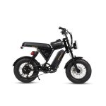 Bicicletta elettrica Bodywel M16 Pro fuoristrada 250 W 48 V nera