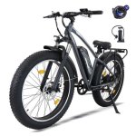 Elektrofahrrad AVDL A35 26 x 4,0 250 W 48 V 13 Ah Shimano