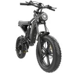Fahrrad Elektrisch Hidoes B6 Breitreifen 20 Zoll