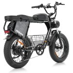 Bicicleta Eléctrica Hidoes HD-B9 Batería Doble 48V 33,8 Ah 20"x4,0"