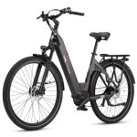 E-Bike TTGO C7 SE 36 V 18 Ah Bafang grau