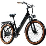 E-Bike CEAYA AZ26 26" 250W 48V 20Ah urban schwarz