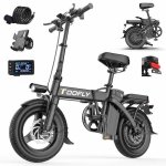 Bicicleta Eléctrica Plegable Toofly GS3 250W 48V 15Ah Neumáticos 14"