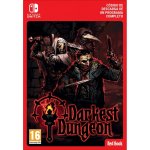 Darkest Dungeon Nintendo Switch Nintendo eShop