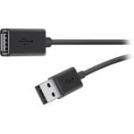 Belkin USB-A a USB-A Extension Cable 1.8m Negro Belkin USB-A a USB-A Extension Cable 1.8m Negro