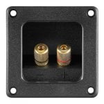 Goobay 2er-Set Gold Square Lautsprecherklemmen Schwarz