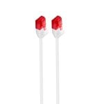 Ewent Cable de Red Slim U/UTP Cat 6 1m Blanco Ewent Cable de Red Slim U/UTP Cat 6 1m Blanco