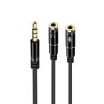 Ewent 3,5 m Klinken-Audio-Adapterkabel auf 2 x 3-polige 3,5-H-Klinkenstecker, 30 cm, Schwarz