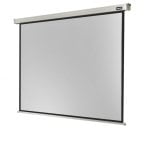 Celexon Electric Professional Pantalla de Proyección Eléctrica 220x165cm