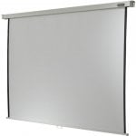 Celexon Professional Pantalla de Proyección Manual 86" 160x160cm