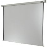 Celexon Professional Pantalla de Proyección Manual 109" 200x200cm