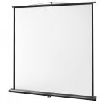 Celexon Ultramobile Professional Pantalla de Proyección 160x160cm