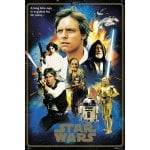 Erik Maxi poster Star Wars Eroi del 40° anniversario 91,5x61 cm