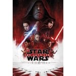Erik Maxi Poster Star Wars VIII Un Foglio 91,5x61 cm