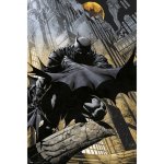 Maxi poster Erik DC Comics Batman Gargoyle 91,5x61 cm