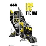 Maxi poster Erik DC Comics 80° anniversario Batman 91,5x61 cm