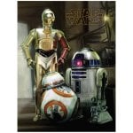 Pyramid Lienzo Star Wars Droids 30x40cm