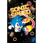 Maxi poster Erik Sonic Speed 91,5x61 cm