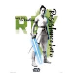 Erik Lámina Star Wars Episodio IX Rey Resistance Hero 40x30cm Erik Lámina Star Wars Episodio IX Rey Resistance Hero 40x30cm