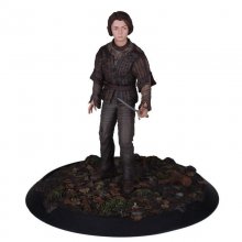 Dark Horse Figura Arya Stark Edição Limitada 28cm en PcComponentes