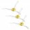 iRobot Kit de Filtros AeroVac y Cepillos Laterales