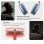 Klack PK9P Auriculares Deportivos Bluetooth Blanco