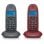 Telefoni wireless Motorola C1002LB+ Duo Pack con vivavoce Grigio/Marrone